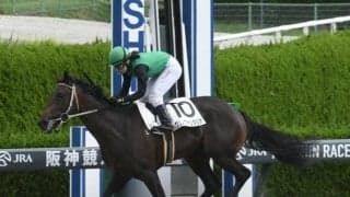 【阪神4R新馬戦結果】トビーズコーナー産駒のクリノファンタジアが圧勝！