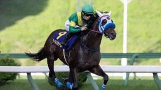 【金沢・白山大賞典枠順】ダートグレード競走を連勝中のウィルソンテソーロは3枠3番