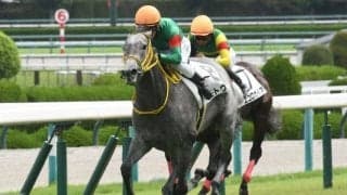 Too Darn Hot産駒がJRA初勝利！ 19年のサセックスSなどG1・3勝