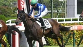 【阪神5R新馬戦結果】ロードカナロア産駒のアルバニーが差し切りV！