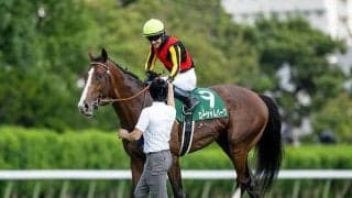 【オールカマー予想】芝の違いが好走を阻む!? 高速馬場の野芝が舞台で位置取りもポイントに