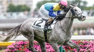 【神戸新聞杯予想】前走での経験が明暗を分ける!? 覚えておきたいレース格や距離のチェック