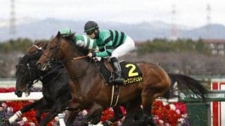 【神戸新聞杯前日オッズ】ハーツコンチェルトが3.5倍で1番人気