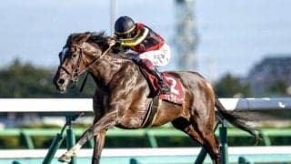 芝2200mはベストの舞台 前走も“負けて強し”でオールカマー連覇だ