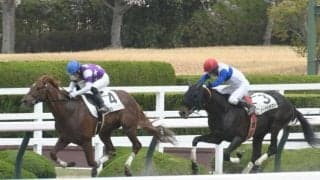 阪神ダートは大型馬＆外枠優勢 サンライズパスカルの押し切りだ