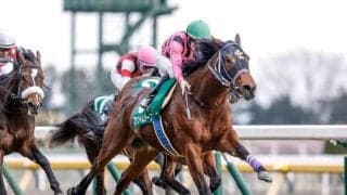 【AI予想・神戸新聞杯】週初から一転の本命は連対率100％のデータに唯一該当する実力馬