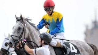 神戸新聞杯は切れ味が勝負の分かれ目 阪神替わりで“末脚自慢”が決める