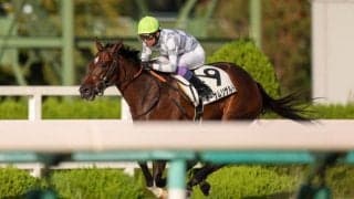 【阪神12R】武豊騎乗、オーサムリザルトが無傷の3連勝