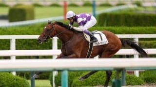 【阪神1R】武豊騎乗、サンライズジパングが4馬身差完勝