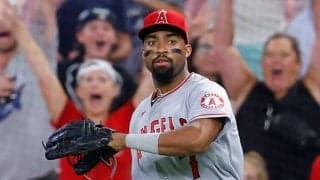 【MLB】エ軍、アデルが決勝3号＆美守　年俸56億円レンドンが復帰断念も…9度目の完封勝利