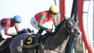 波乱傾向にある神戸新聞杯　穴党記者は非凡な末脚を秘めた人気薄２頭の大駆けに期待