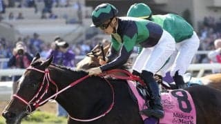 名門・矢作厩舎イチオシの期待馬グラヴィス「操縦性や乗り味がいい」とスタッフ絶賛