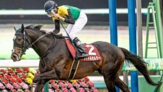 【オールカマー予想】前走重賞組が強いレース 脚質はロングスパート型が向く舞台