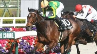 【神戸新聞杯予想】ポイントは「スローの瞬発力勝負」と「前走日本ダービー組」