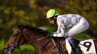 【阪神12R】武豊「この先も楽しみ」オーサムリザルトが無傷の3連勝