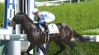 【阪神4R新馬戦結果】イントゥミスチーフ産駒のソニックスターが捲って快勝！ 伯父にビーチパトロール