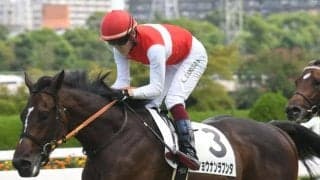 【阪神5R新馬戦結果】キズナ産駒のショウナンラプンタが快勝！