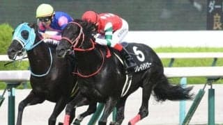 WIN5は4億2878万3320円で歴代5位 的中1票で今月2度目の億超え