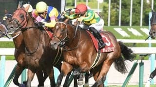 【神戸新聞杯結果】サトノグランツが差し切ってレコードV！重賞2勝目を挙げる