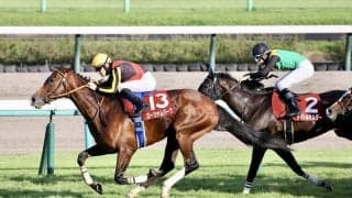 【オールカマー】ローシャムパークが3連勝で重賞2勝目…タイトルホルダーは2着敗退