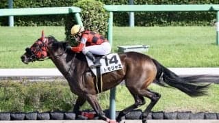 【中山8R】小林美駒騎乗、トモジャミが快勝