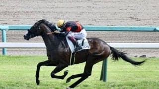 【新馬/中山5R】キズナ産駒 シュバルツクーゲルがデビューV…断然人気カニキュルは2着