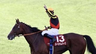 【オールカマー】ルメール「G1レベルにいけます」ローシャムパークが重賞2勝目