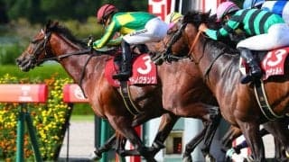 【神戸新聞杯】サトノグランツが秋初戦を快勝…菊花賞の優先権獲得