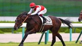 【新馬/阪神5R】キズナ産駒 ショウナンラプンタがデビューV