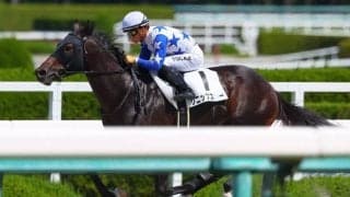 【新馬/阪神4R】ソニックスターが3馬身半差の完勝