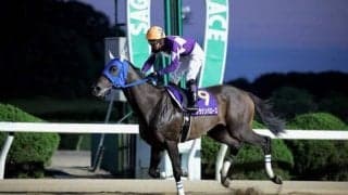 【佐賀・鳥栖大賞】アラジンバローズが地方転籍後、重賞初制覇…下原「強い馬でした」