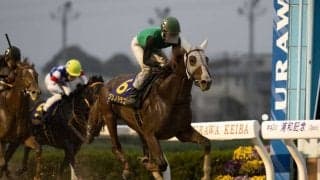 【シリウスS登録馬】クリノドラゴン、ハギノアレグリアスなど15頭