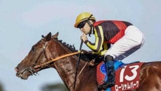 【オールカマー】売上は73億4530万6100円で昨年より約1.5億円減少