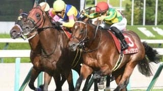 【神戸新聞杯】売上は59億4504万600円で昨年より約5000万円増加