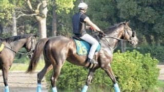 オジュウチョウサンの半妹スターチョウサン 武豊騎手背に仕切り直しの初陣/関東馬メイクデビュー情報