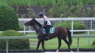 躍進中の全兄に続け 陣営も手応えアリのインザモーメント/関西馬メイクデビュー情報