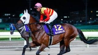 【シリウスS想定騎手】ハギノアレグリアスは岩田望来騎手、ヴァンヤールは荻野極騎手