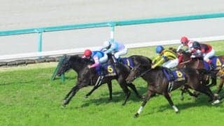【先週のJRA抹消馬】桜花賞2着ウォーターナビレラ、ダートで8連勝飾ったブラッティーキッドなど