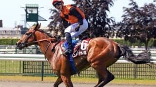 凱旋門賞の登録馬15頭が発表 無敗の仏ダービー馬エースインパクトや日本馬スルーセブンシーズなど