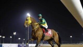 ウシュバテソーロがドバイWCを制覇 オルフェーヴル産駒はなぜ“ダート”でも強い？