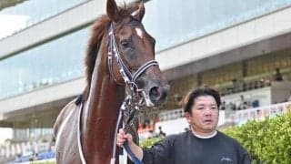 【シリウスS展望】ダート戦ながら、芝実績のある馬の好走が多いレース