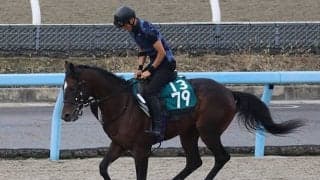 サラフィナの2021(カルデア)など、先週のゲート試験/栗東トレセンニュース