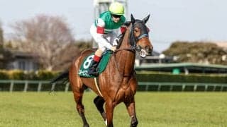 【凱旋門賞】スルーセブンシーズの調教状況 26日は坂路を2本