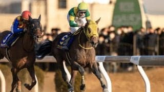 【日本テレビ盃】世界のウシュバテソーロが始動…4枠4番へ