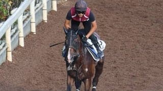 プログノーシスなど、先週の入厩情報/栗東トレセンニュース