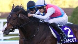 ニシノフラワー以来31年ぶりの快挙へ 朝日杯FS覇者がスプリンターズSに参戦