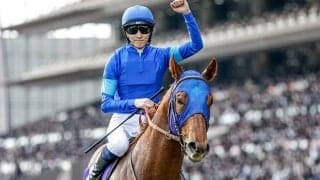 【シリウスS予想オッズ】レモンポップが予想1番人気