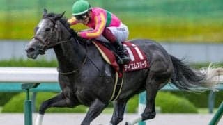 単勝112.6倍で重賞初制覇の富田暁騎手 スプリンターズSで再び波乱起こすか