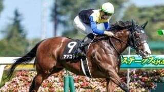 【スプリンターズS展望】秋のGIシリーズ開幕戦、33秒台のキレ味が要求される