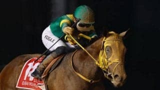 ドバイWC覇者ウシュバテソーロが参戦 米遠征に勢いづく勝利なるか/船橋・日本テレビ盃注目馬